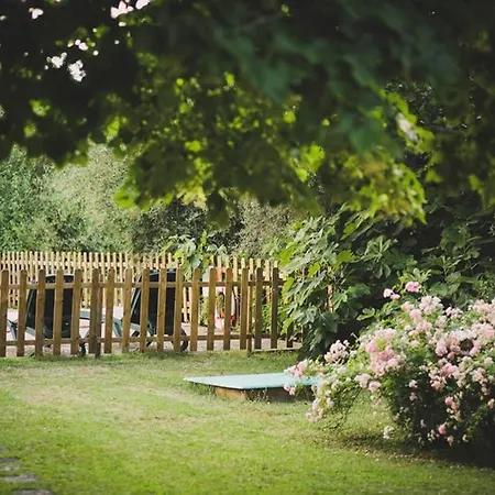 Holiday home Capannina Vico d'Arbia
